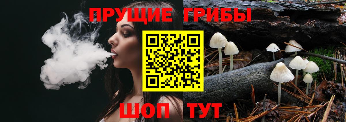 Псилоцибиновые грибы Magic Shrooms Вольск