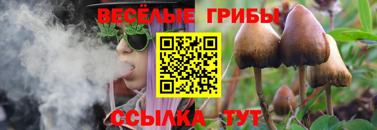 Псилоцибиновые грибы Psilocybine cubensis  Вход с VPN  Вольск 