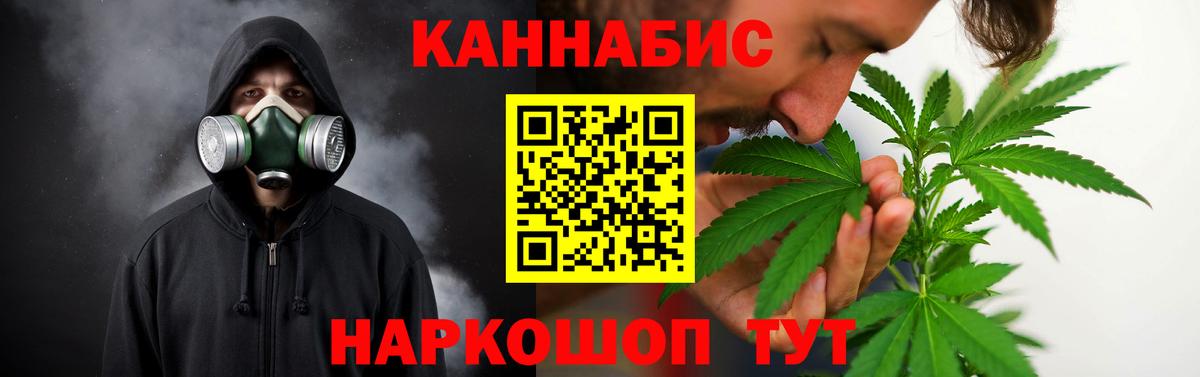Конопля OG Kush Вольск